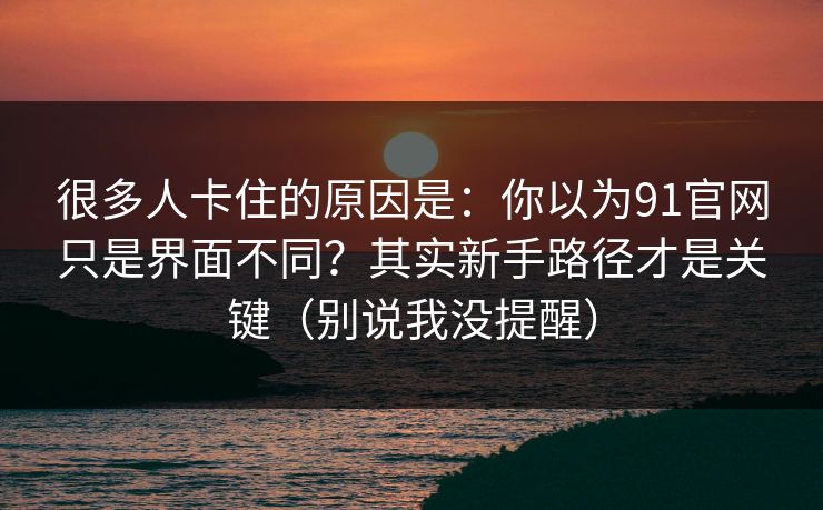 很多人卡住的原因是：你以为91官网只是界面不同？其实新手路径才是关键（别说我没提醒）
