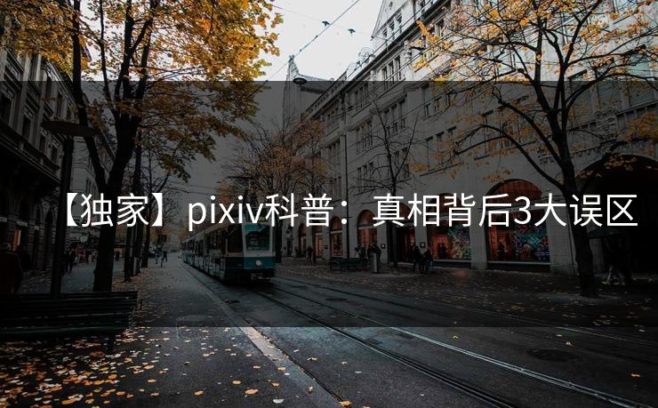 【独家】pixiv科普:真相背后3大误区 【独家】pixiv科普:真相背后3大误区